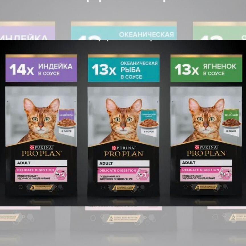 Корм для кошек purina pro plan