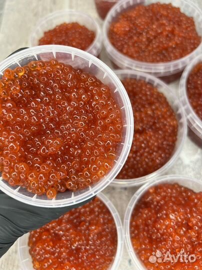 Красная икра, икра кижуча, камчатская 2022