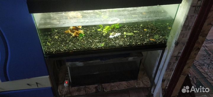 Аквариум