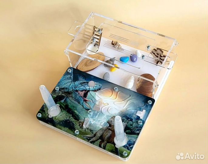 Муравьиная ферма Муравьи оптом и в розницу Корм