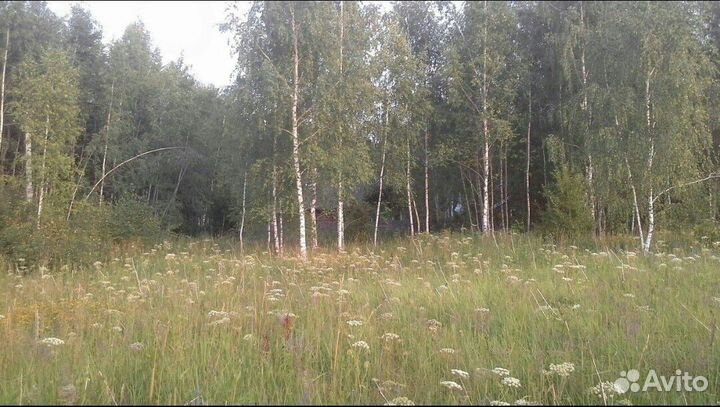 Партнер (кемпинги, разведение червя, улитки и тд)