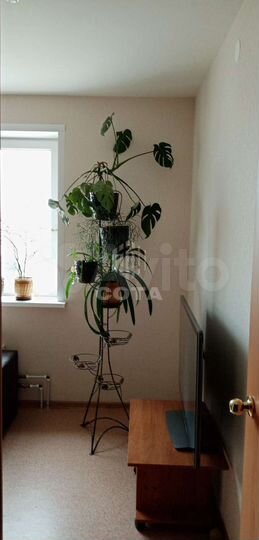 2-к. квартира, 52,5 м², 8/10 эт.