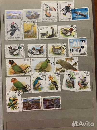 Альбом марок СССР по темам 1 часть