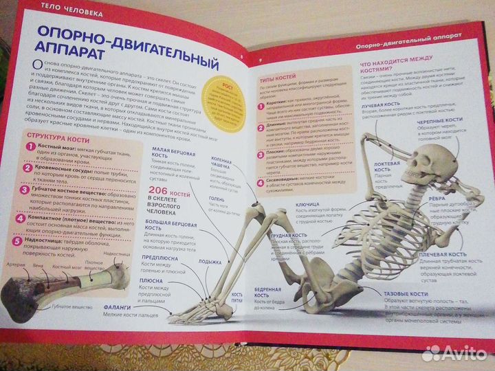 Книга для ребенка:) Хороший подарок для умных:)