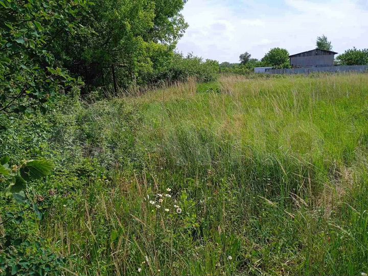 Участок 24,4 сот. (ИЖС)