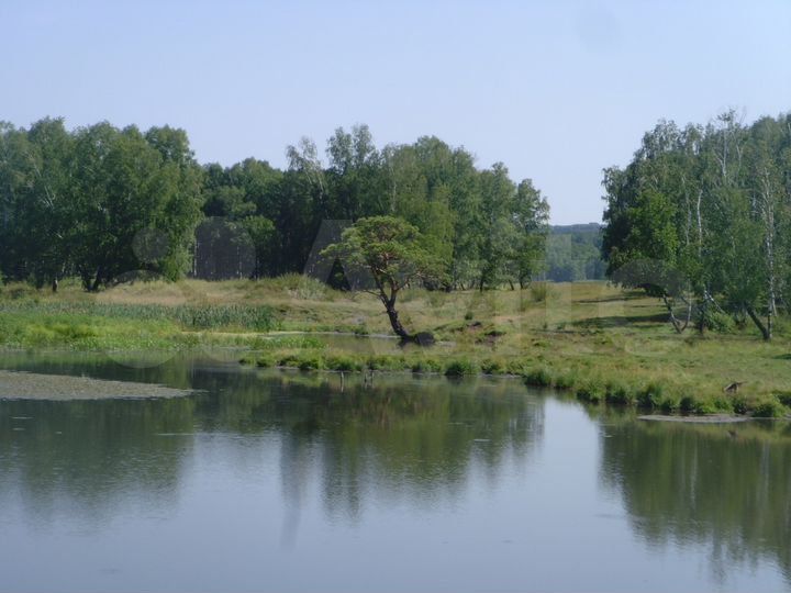 Участок 3,1 га (СНТ, ДНП)