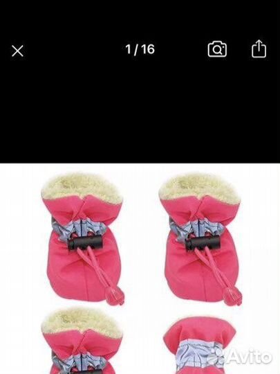 Ботинки для собак