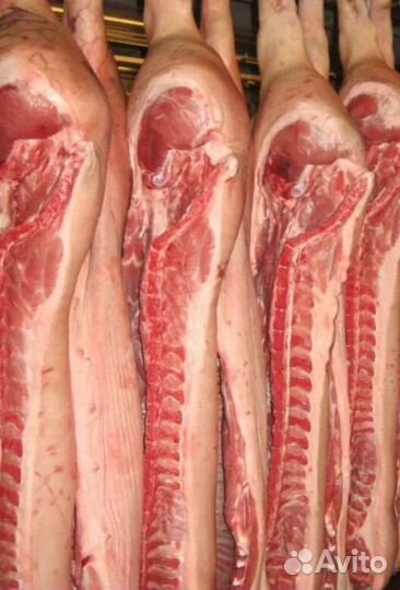 Свежее мясо свинина и говядина
