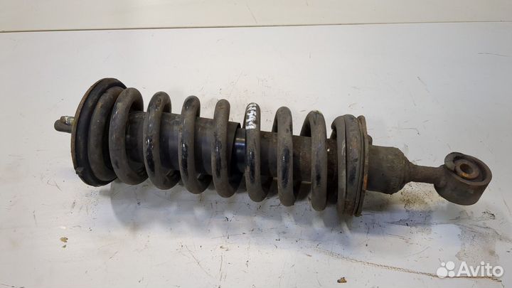 Амортизатор подвески Nissan Navara, 2006