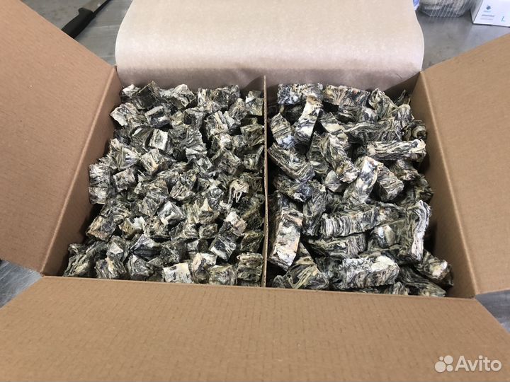 Коробка корма для собак