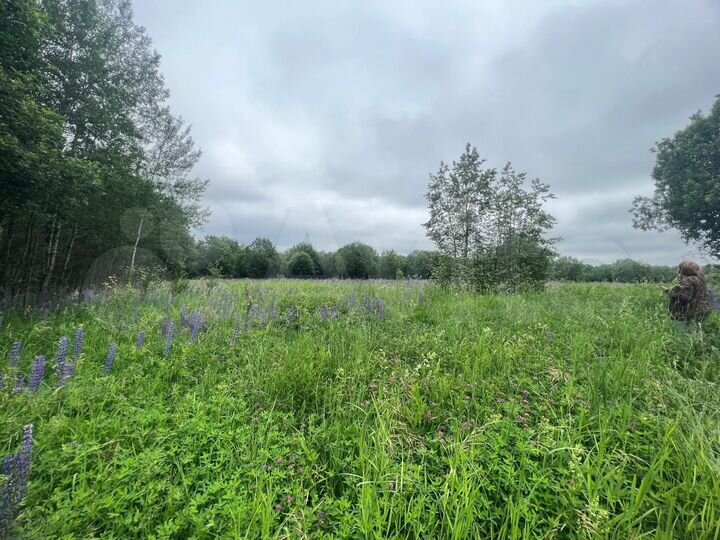 Участок 1,87 га (СНТ, ДНП)