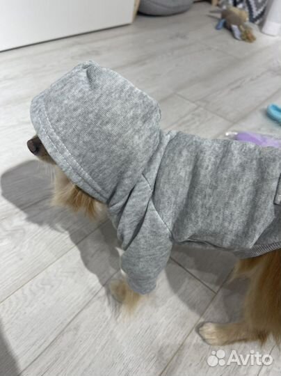 Худи толстовки для собак