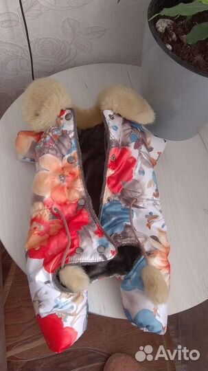 Зимний комбинезон