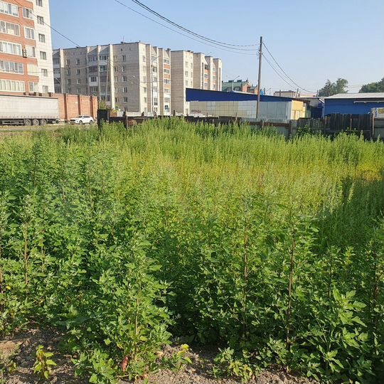 Участок 7 сот. (ИЖС)