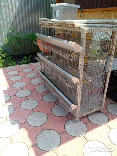 Стеллаж для перепелок