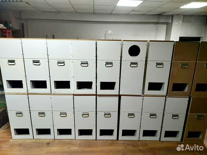Шумбокс для asic t21