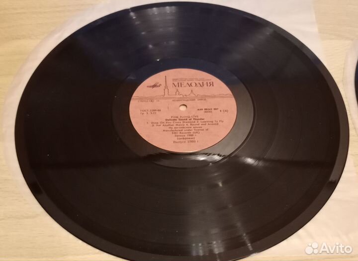 Pink Floyd delicate sound of thunder 2LP