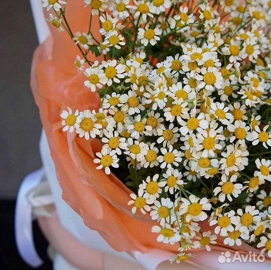 Ромашки букет
