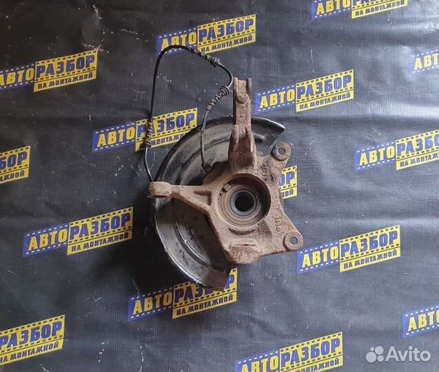 Поворотный кулак левый в сборе Рено Дастер