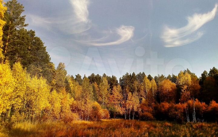 Участок 1,3 га (СНТ, ДНП)