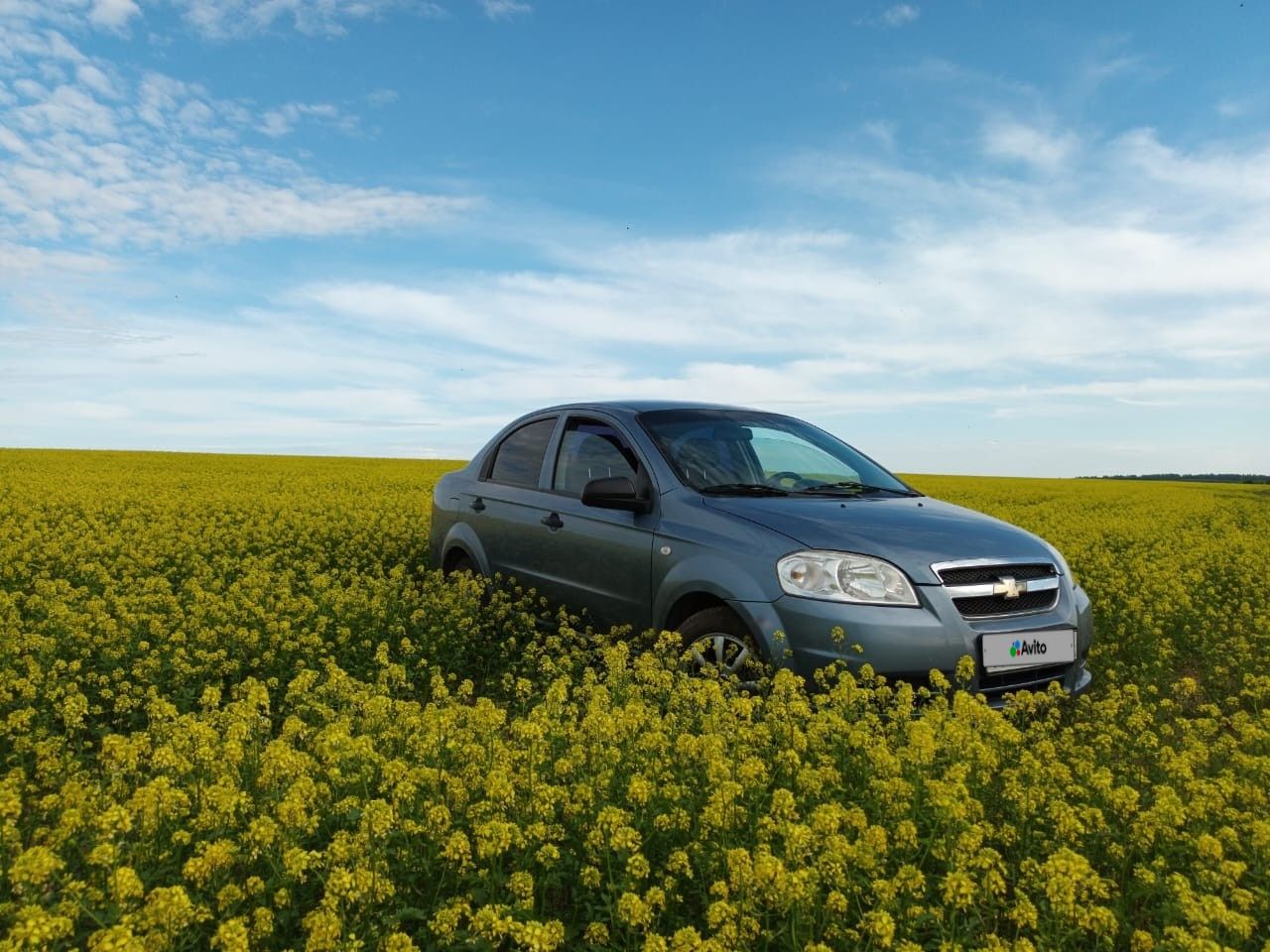 Chevrolet Aveo: фото владельца