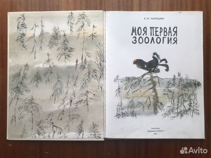 Моя первая зоология