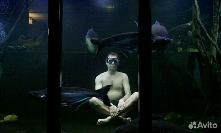 Обслуживание чистка аквариумов