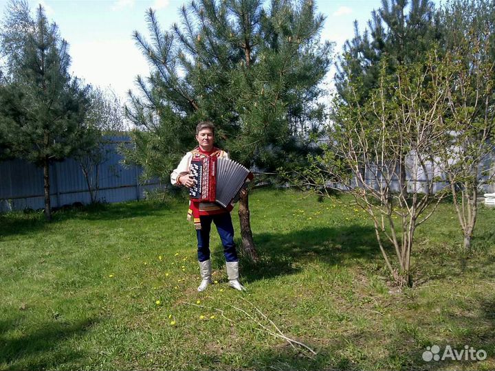 Профессиональный баянист