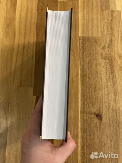 Аркадий и Георгий Вайнеры Петля и камень в