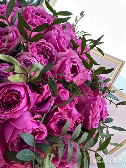 Роза пионовидная кустовая,доставка Калининград