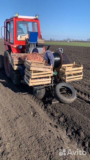 Картофелесажалка, 2020