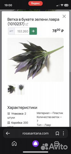 Зелень для творчества