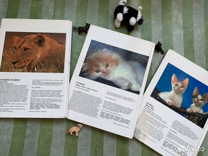 Детские Книги про кошек мир животных клив шнек