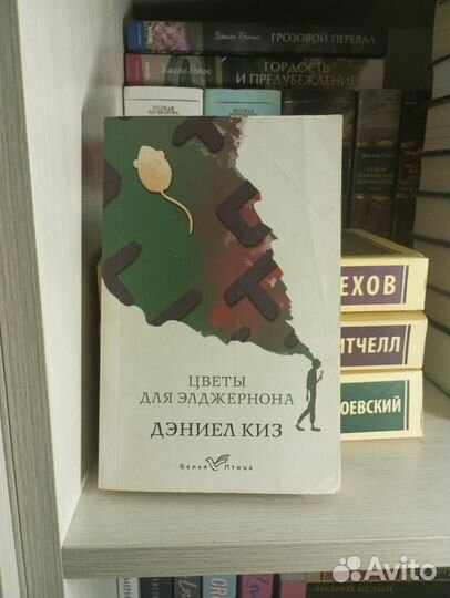 Классическая литература