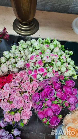 Розы кустовые