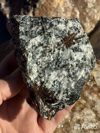 Астрофиллит