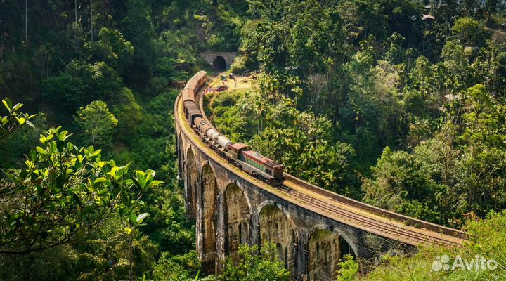 Шри-Ланка путевка 9 нч завтрак, 5 звезд