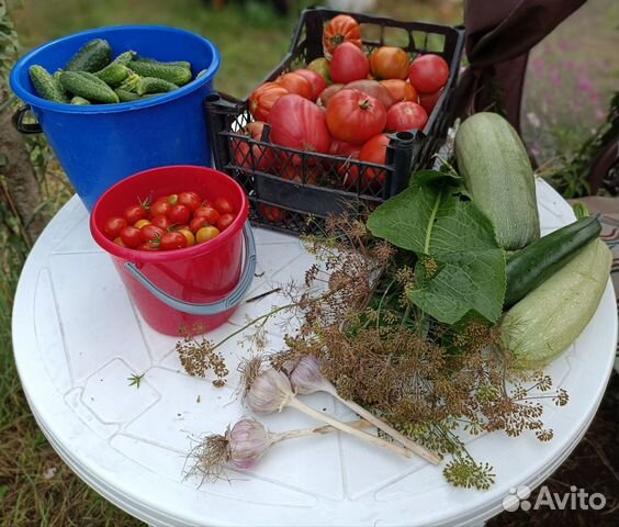 Огурцы, помидоры, кабачки