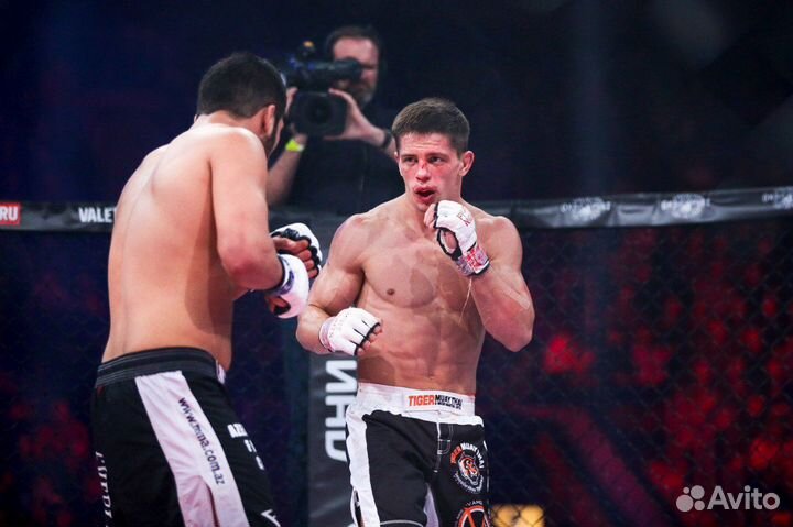 Тренировки мма/смешанные единоборства