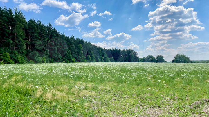 Участок 5 сот. (ИЖС)