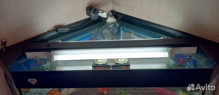 Императорский скорпион