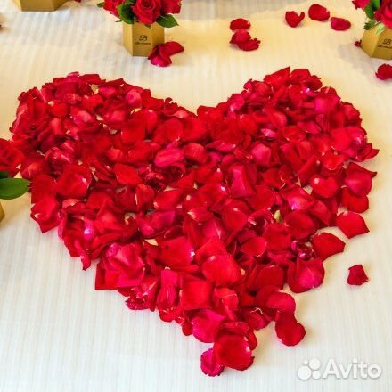 Лепестки роз