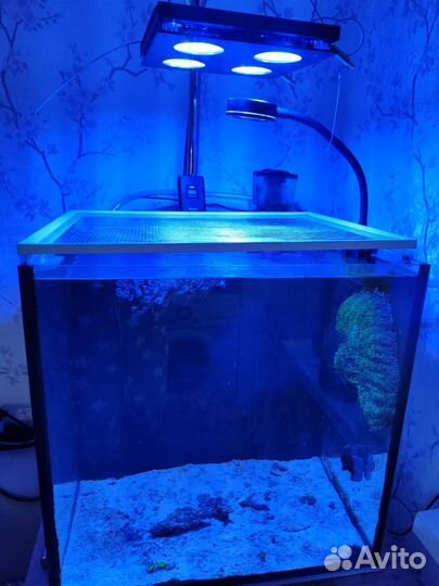 Аквариум с тумбой 100л с оборудованием