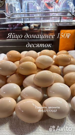 Домашние куриные яйца