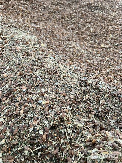 Зерноотходы чечевичные ячменные пшеничные