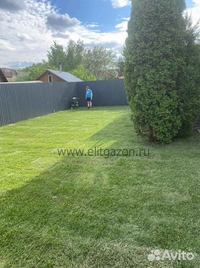 Продажа рулонного газона под ключ