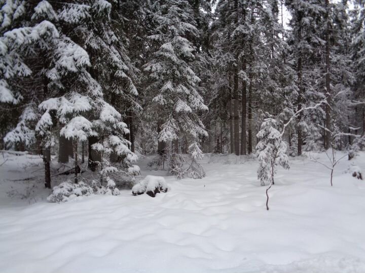 Участок 1,05 га (ИЖС)