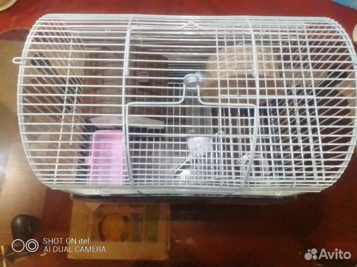 Клетка для хомяка