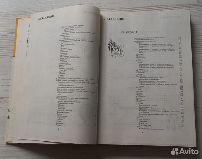 Книга. Ваш приусадебный участок