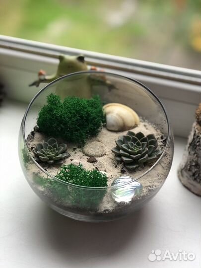 Флорариум с суккулентами